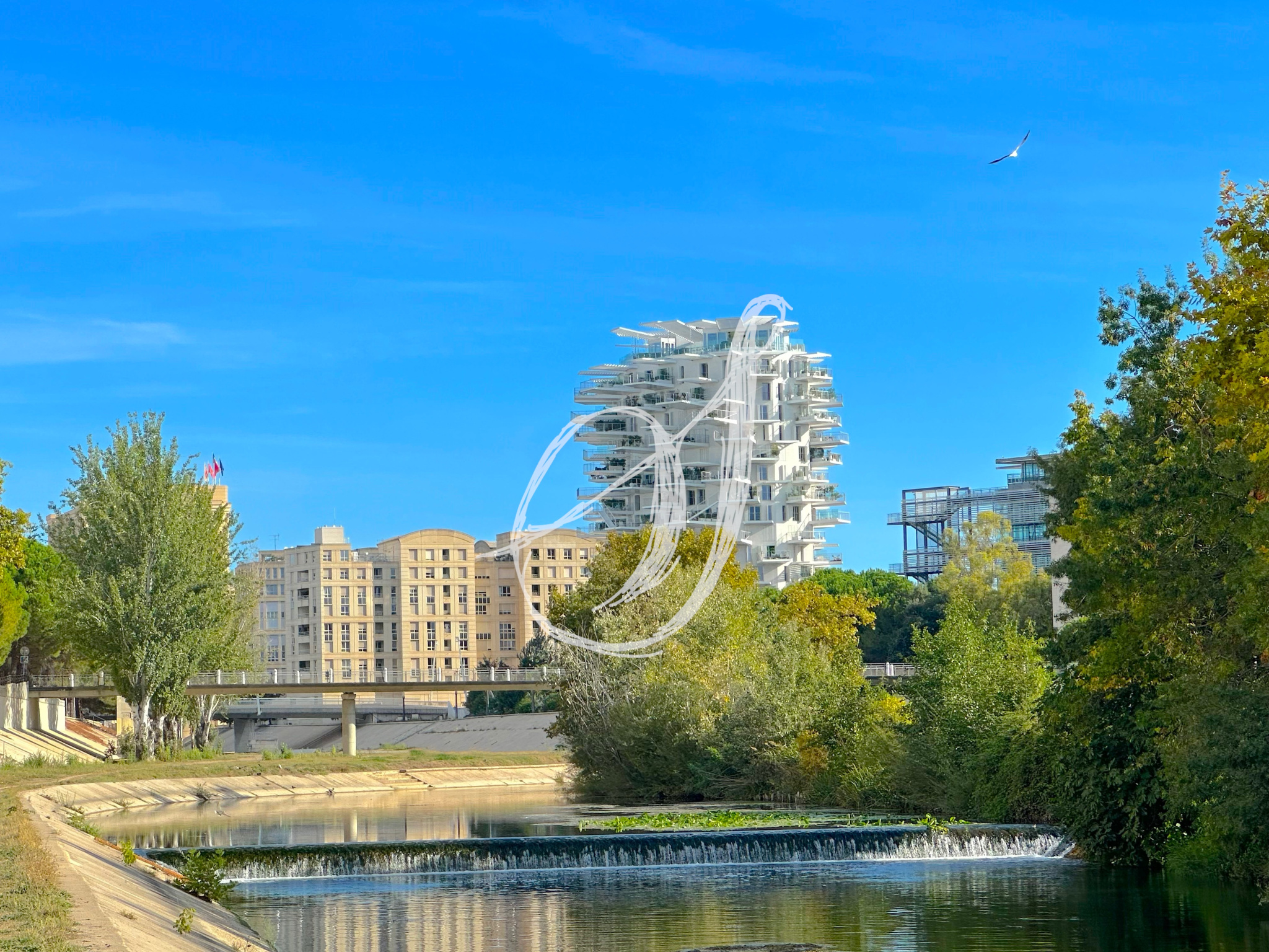 Agence immobilière de Les Sarments